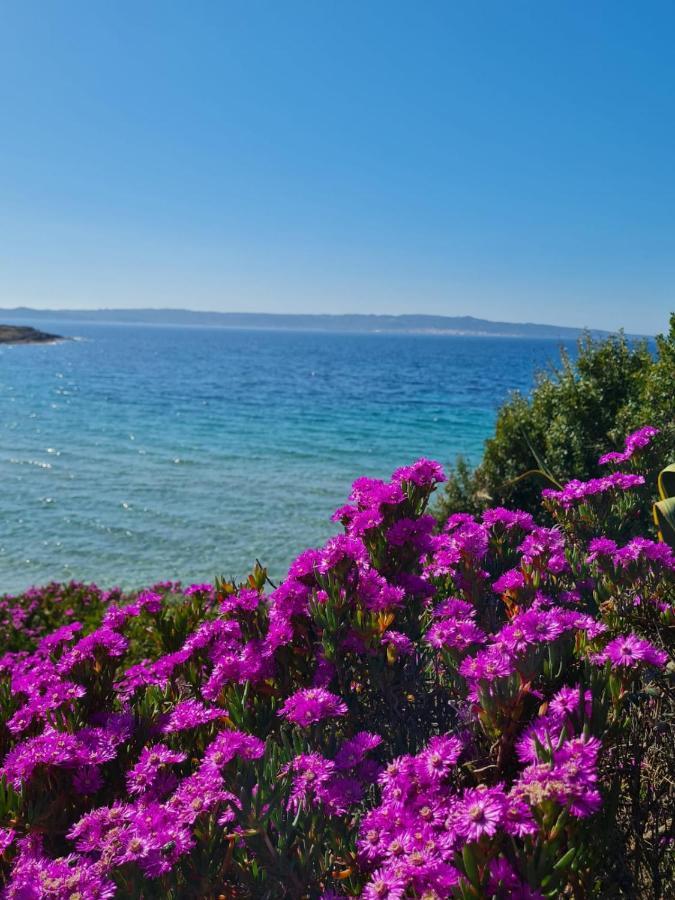 Sa Domu Tabarchina Βίλα Calasetta Εξωτερικό φωτογραφία